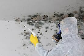 Best Commercial Mold Inspection  in Bucyrus, OH